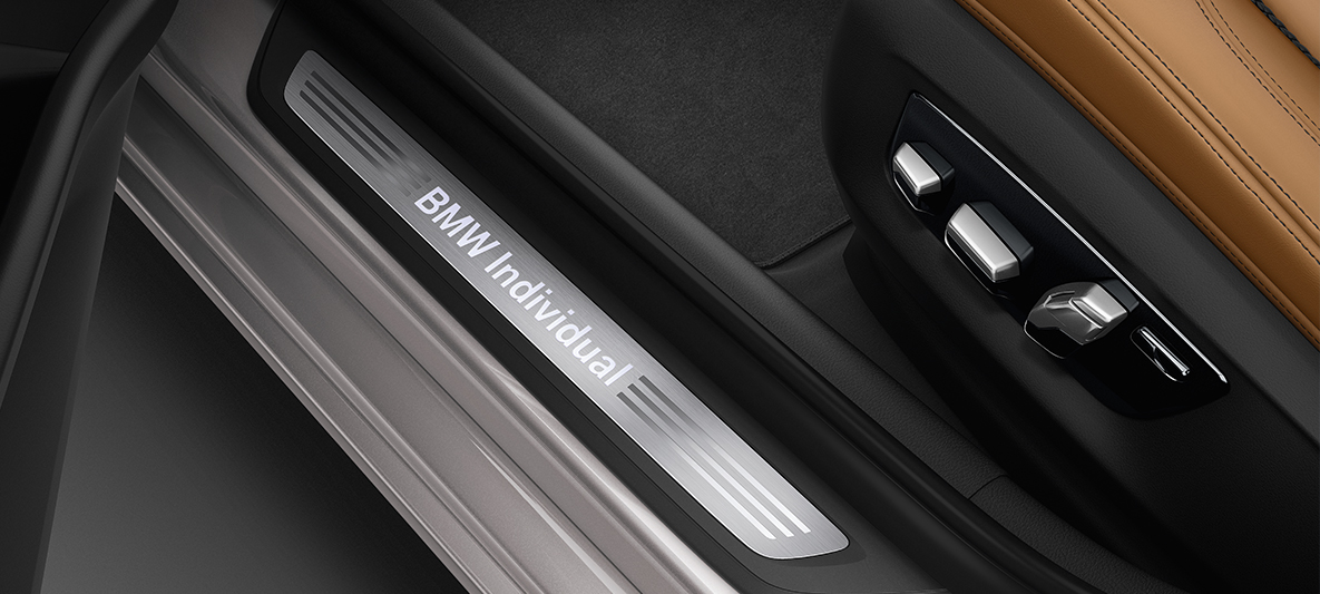 BMW Individual, listwa progowa, BMW serii 5 Limuzyna BMW Individual, BMW serii 5 Limuzyna G30, srebrny rodonit metalizowany, listwa progowa