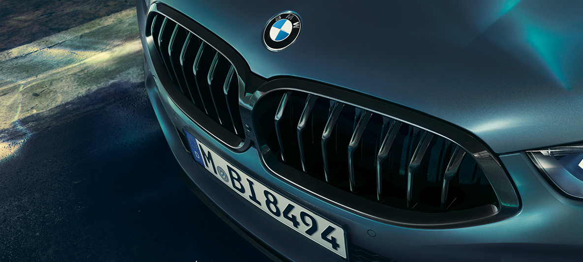 BMW M850i Coupé First Edition, nerki Zbliżenie na nerki BMW M850i Coupé First Edition