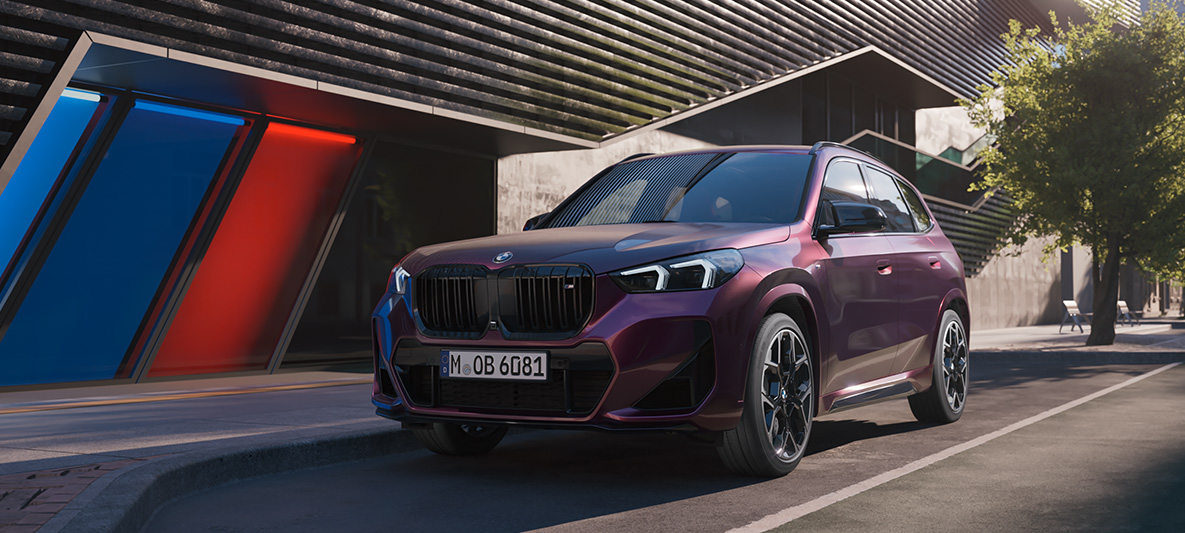 Mora BMW Individual metalizowany Mora BMW Individual metalizowany
